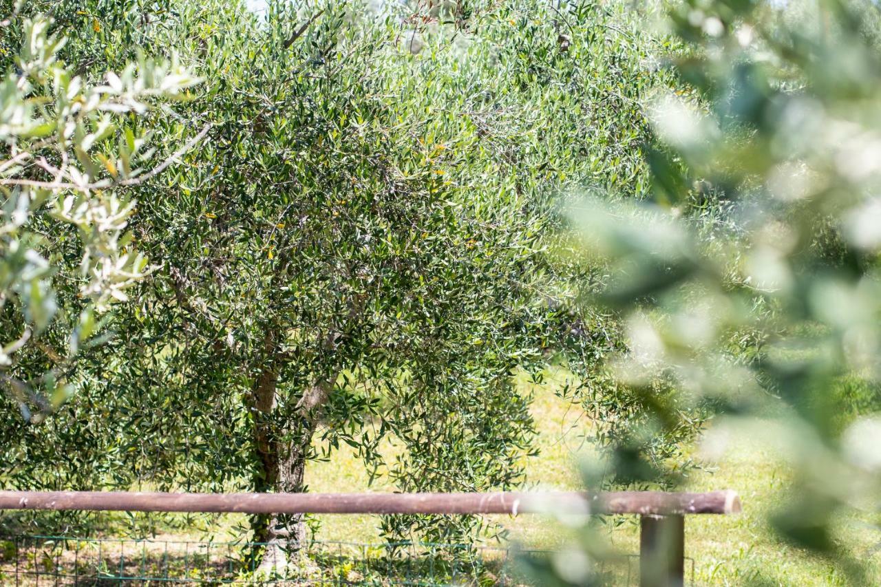 Agriturismo Filettro Volterra Zewnętrze zdjęcie