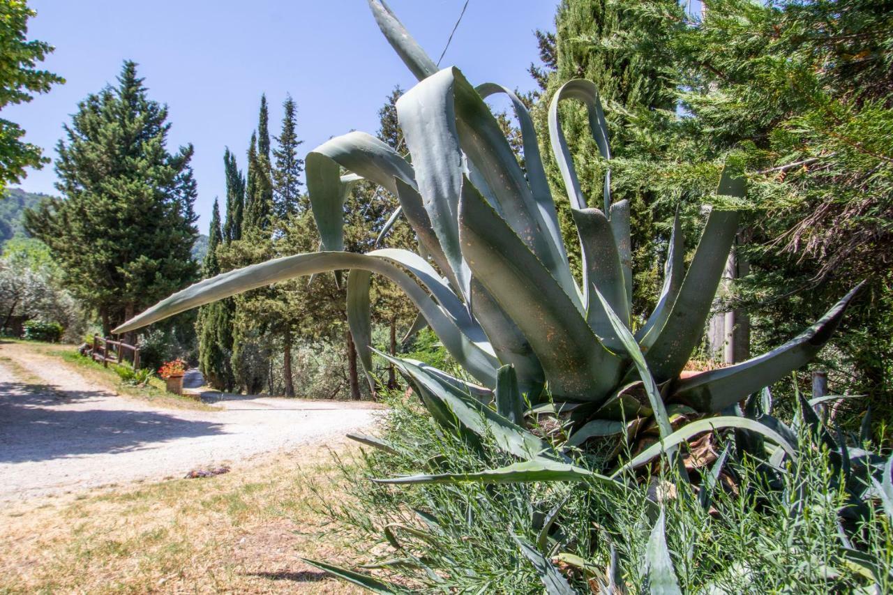 Agriturismo Filettro Volterra Zewnętrze zdjęcie