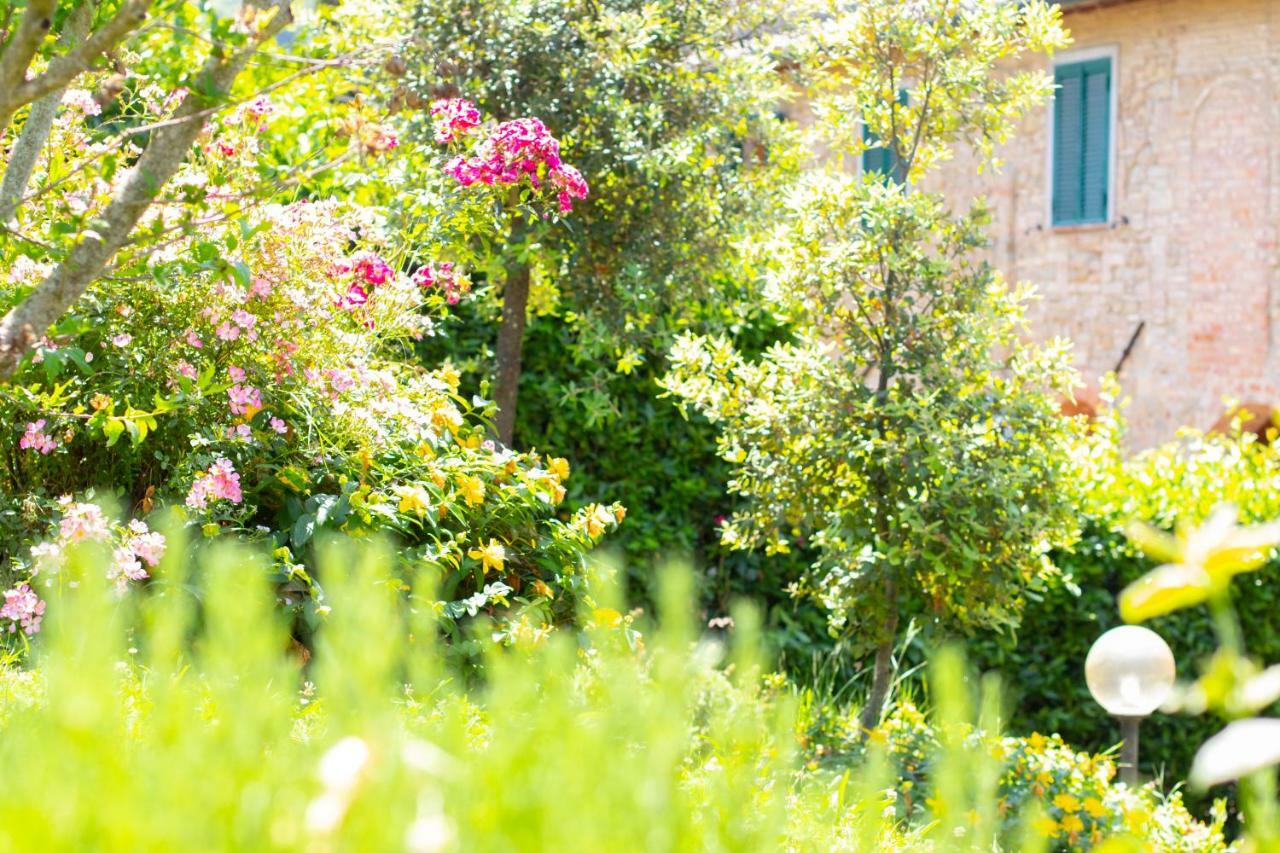 Agriturismo Filettro Volterra Zewnętrze zdjęcie