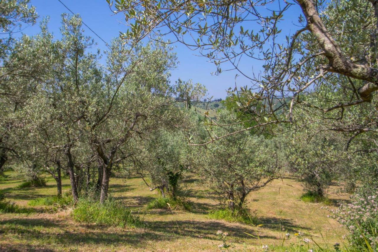 Agriturismo Filettro Volterra Zewnętrze zdjęcie