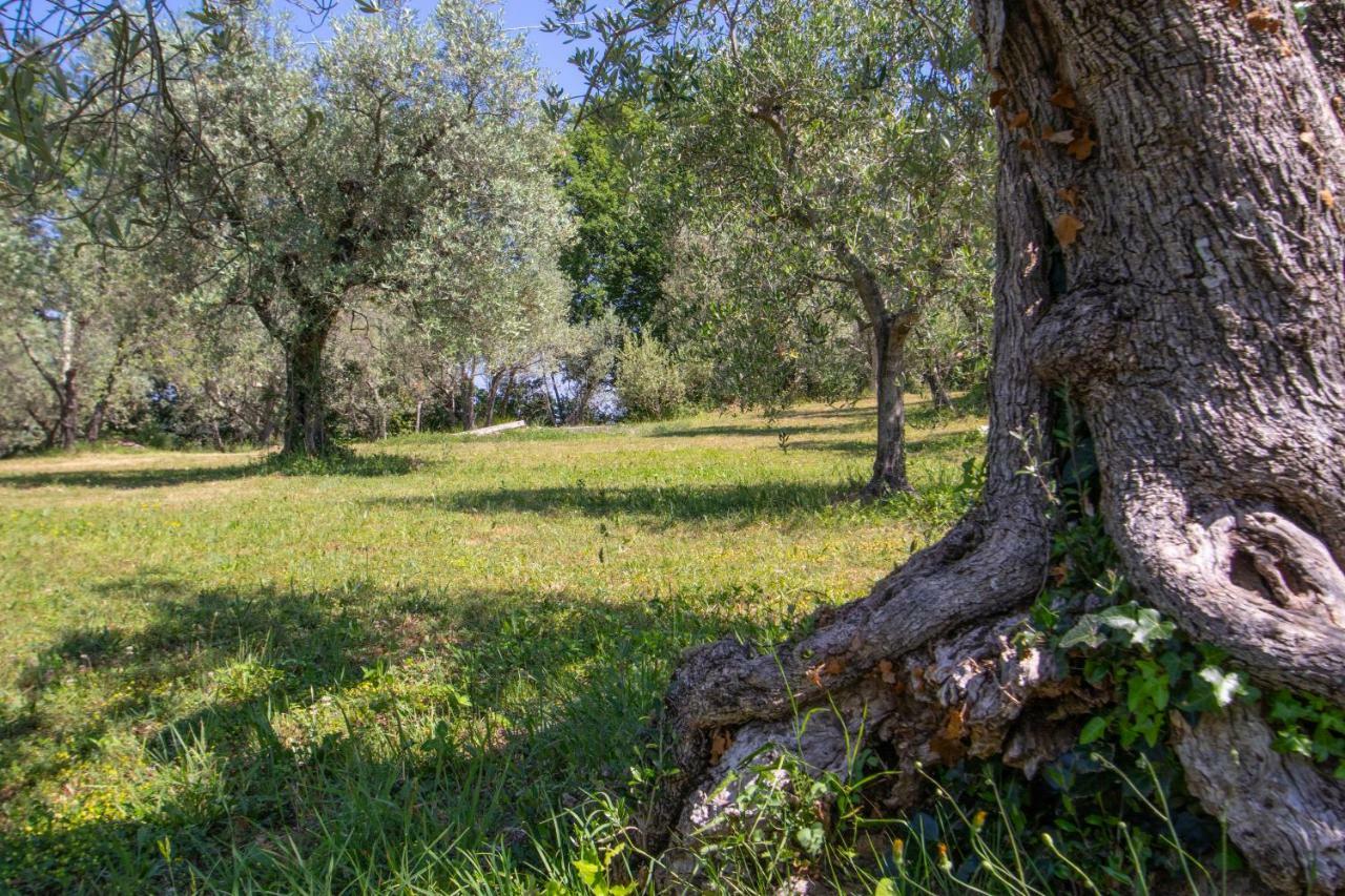Agriturismo Filettro Volterra Zewnętrze zdjęcie